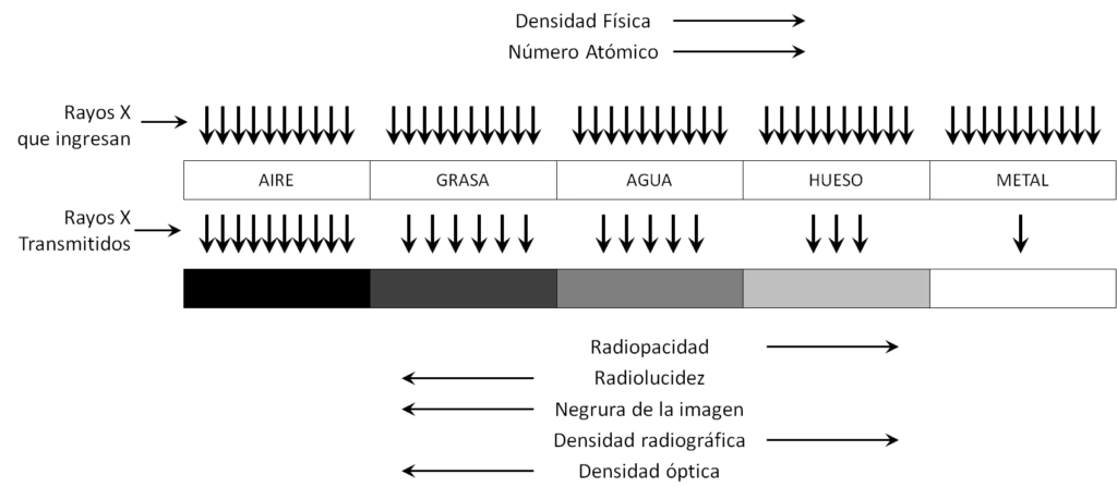 5 densidades - esquema 5 densidades - esquema